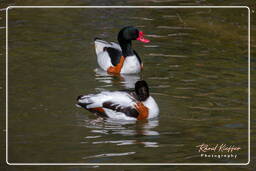 Tierpark Hellabrunn (1215)