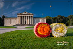 Königsplatz (52) Récolte des Balles - Michael Beutler