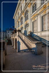 Castillo de Nymphenburg (153)