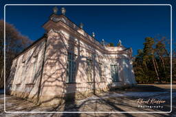 Schloss Nymphenburg (407) Amalienburg