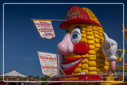 Oktoberfest (29) 2013