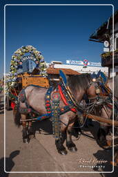 Oktoberfest (231) 2013