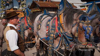 Oktoberfest (245) 2013