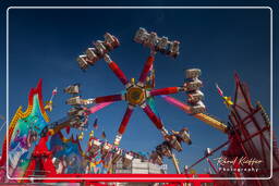 2013, Oktoberfest (539)