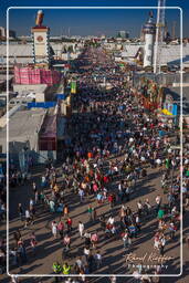 Fête de la Bière (710) 2013