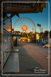 Summer festival, Olympic Park (Munich) (52)