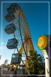 Parque Olímpico (Munique) (242) Festival de verão