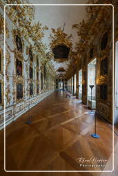 Ancestral Gallery, Residence (Munich) (296)