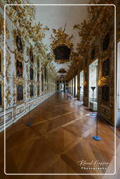 Residence (Munich) (296) Ancestral Gallery