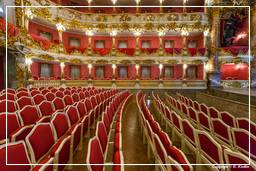 Residenza (Monaco di Baviera) (343) Teatro Cuvilliés