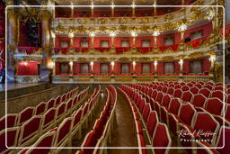 Residenz (München) (352) Cuvilliés Theater