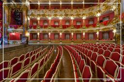 Residenza (Monaco di Baviera) (352) Teatro Cuvilliés