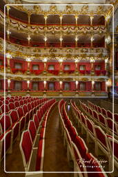 Cuvilliés Theater, Residence (Munich) (362)