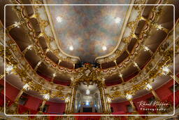 Cuvilliés Theater, Residence (Munich) (374)