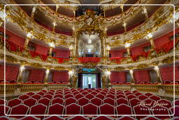 Cuvilliés Theater, Residence (Munich) (384)