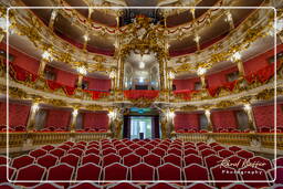 Résidence (Munich) (384) Théâtre Cuvilliés