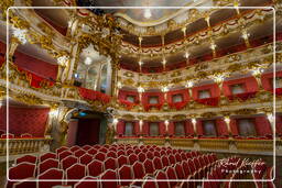 Résidence (Munich) (386) Théâtre Cuvilliés