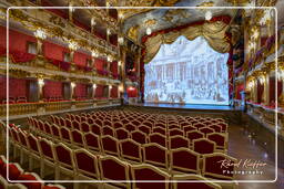 Residenza (Monaco di Baviera) (389) Teatro Cuvilliés