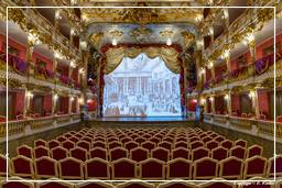 Residenza (Monaco di Baviera) (393) Teatro Cuvilliés