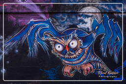 Street art, Slaughterhouse (Munich) (204)
