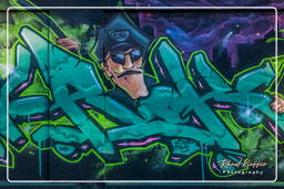 Street art, Slaughterhouse (Munich) (213)