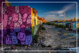 Street art, Slaughterhouse (Munich) (343)