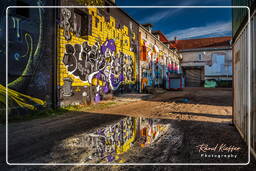 Street art, Slaughterhouse (Munich) (491)