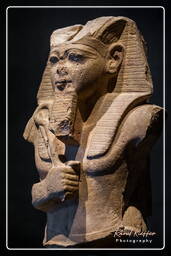 Ramses II, Musée National d’Art Égyptien (Munich) (394)