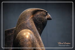 Horus, Musée National d’Art Égyptien (Munich) (490)