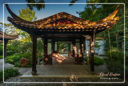 Chinese Garden, Westpark (Munich) (103)