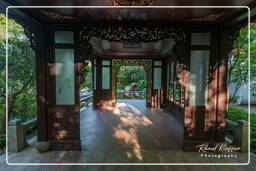 Chinese Garden, Westpark (Munich) (132)