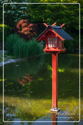 Japanese Garden, Westpark (Munich) (325)