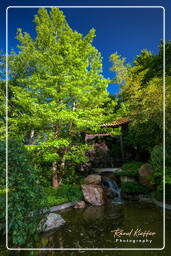 Westpark (Munich) (364) Jardin Chinois