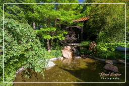 Westpark (München) (513) Chinesischer Garten