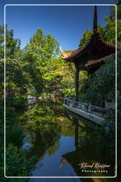 Westpark (Munich) (519) Chinese Garden