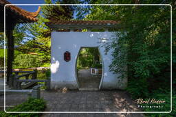Chinese Garden, Westpark (Munich) (541)