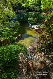 Westpark (Munich) (566) Jardin Chinois