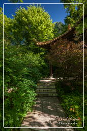 Westpark (Munich) (570) Jardin Chinois