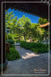 Chinese Garden, Westpark (Munich) (573)