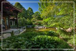 Westpark (Múnich) (584) Jardín chino