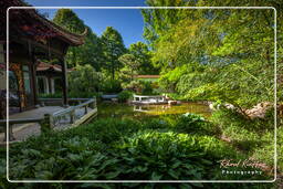 Westpark (Munich) (584) Chinese Garden