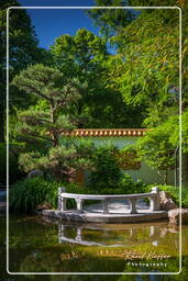 Chinese Garden, Westpark (Munich) (588)