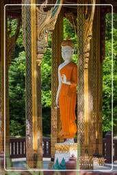 Thai Sala, Westpark (Munich) (592)