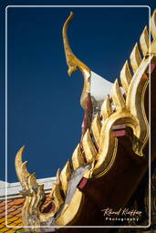 Thai Sala, Westpark (Munich) (611)