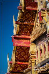 Thai Sala, Westpark (Munich) (621)
