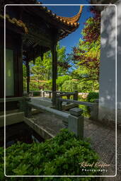 Chinese Garden, Westpark (Munich) (666)