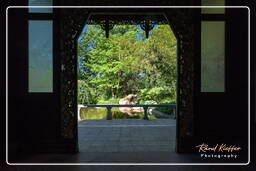 Chinese Garden, Westpark (Munich) (670)