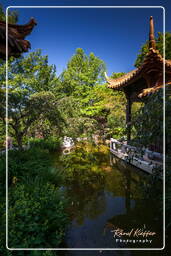 Chinese Garden, Westpark (Munich) (677)
