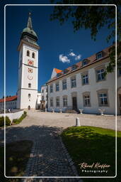 Rottenbuch abbey (165)