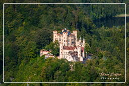 Castelo de Hohenschwangau (46)